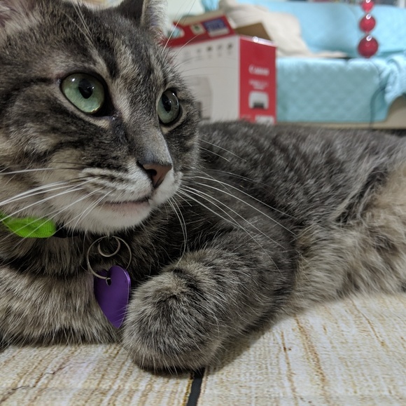 Meet your Posher, Mari - Picture 5 of 8